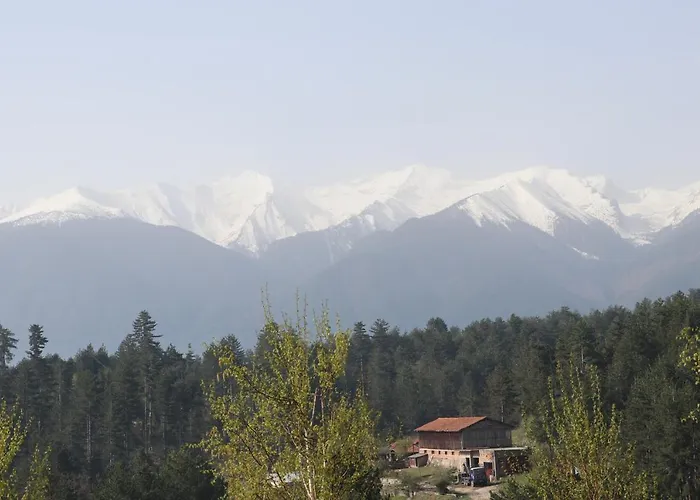 Katarino ホテル バンスコ