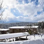 катарино 5*